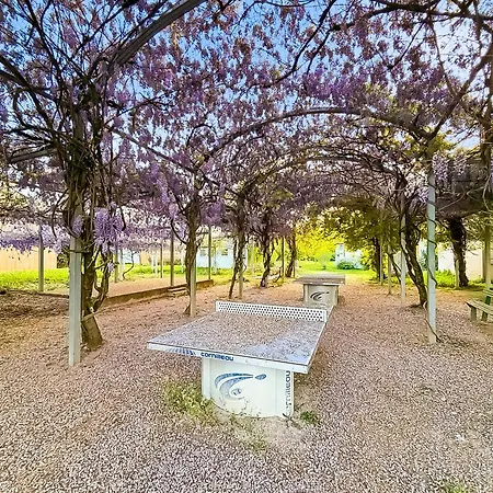 Appartamento élégant T3 Avec Terrasse&piscine Et Parking *