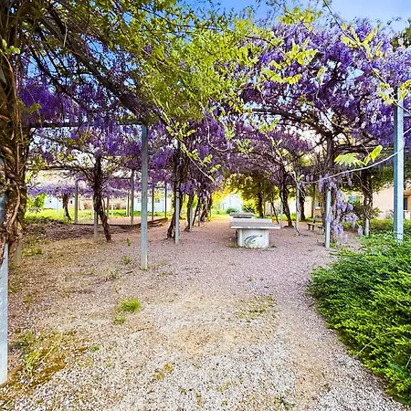 Apartman Elegant T3 Avec Terrasse & Piscine Et Parking *